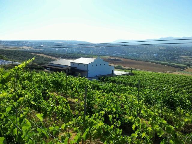 Bodegas Morosanto Apartment La Cimada Exterior photo