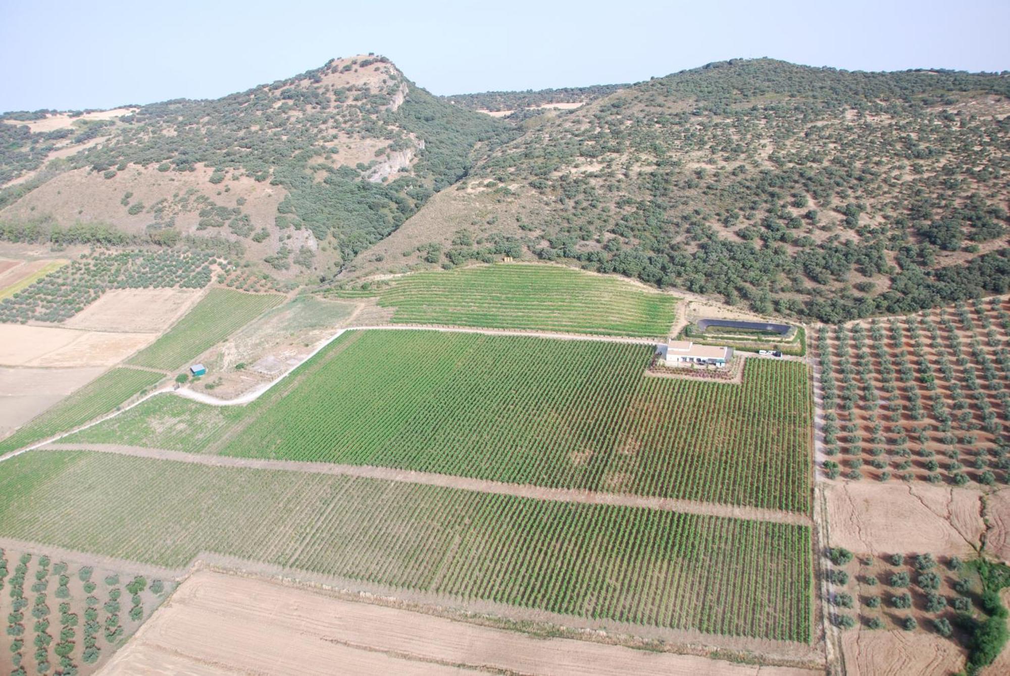Bodegas Morosanto Apartment La Cimada Exterior photo