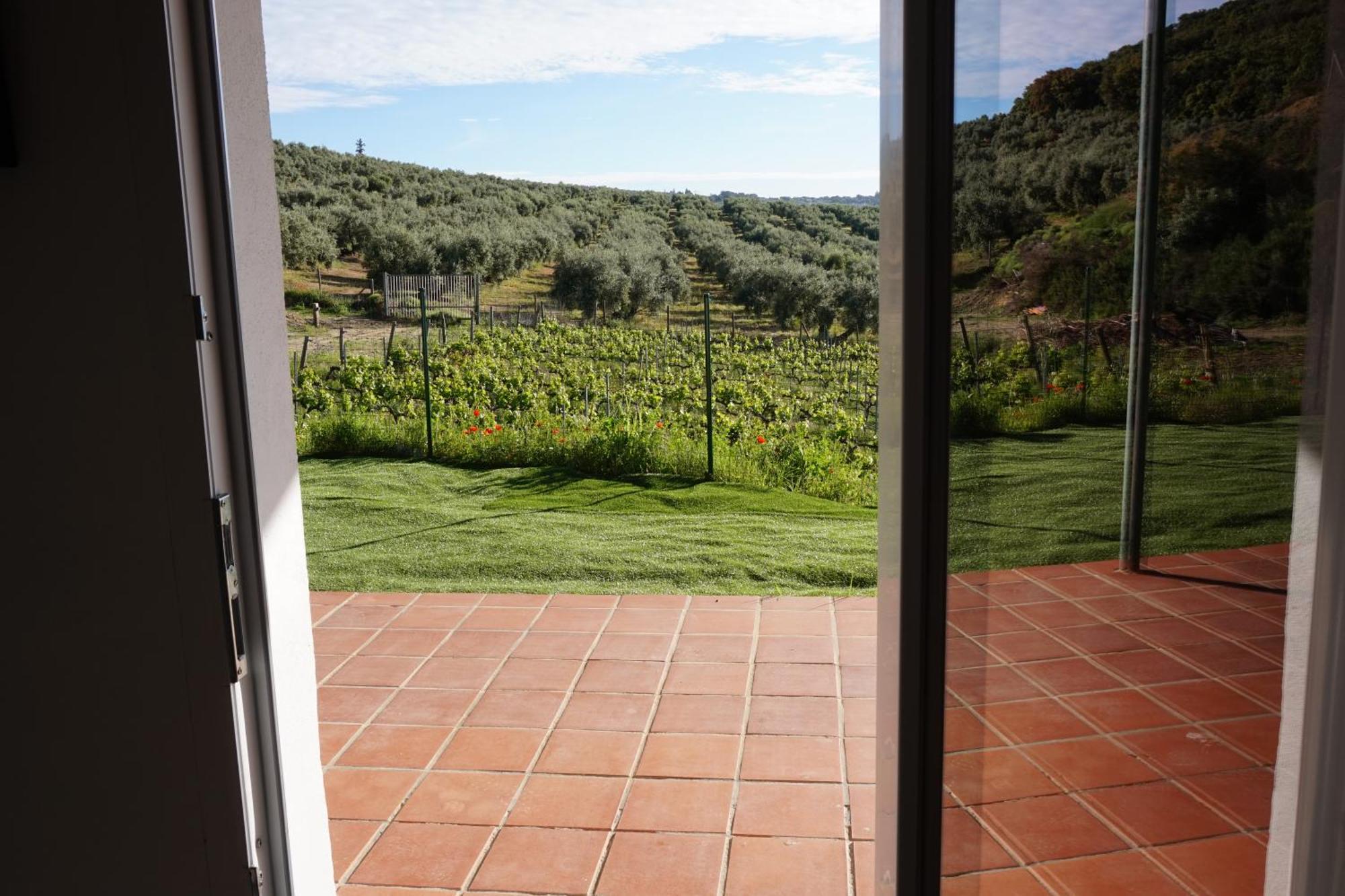 Bodegas Morosanto Apartment La Cimada Exterior photo